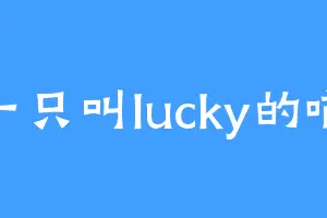 一只叫lucky的喵