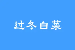 过冬白菜