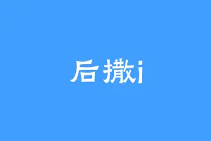 后撒i