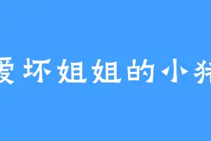 爱坏姐姐的小猪