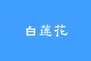 白莲花