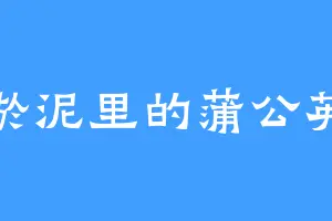 淤泥里的蒲公英