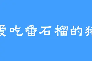 爱吃番石榴的猪