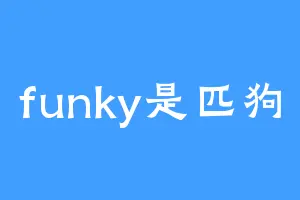 funky是匹狗