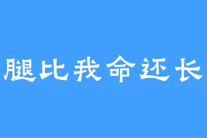 腿比我命还长