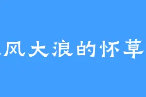 大风大浪的怀草诗