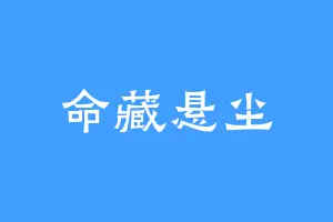命藏悬尘