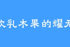 喜欢乳木果的耀无极