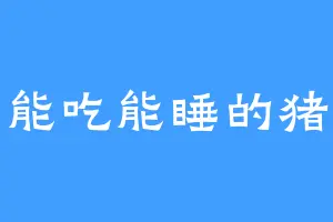 能吃能睡的猪