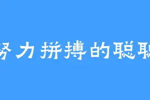 努力拼搏的聪聪