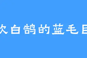 喜欢白鹄的蓝毛巨兽