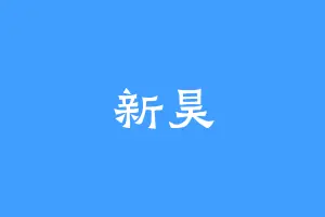 新昊