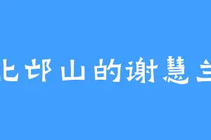 北邙山的谢慧兰