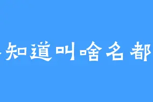 连不知道叫啥名都有了