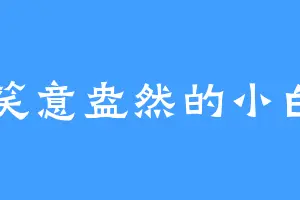 笑意盎然的小白