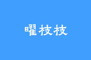 曜枝枝