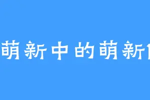 萌新中的萌新1