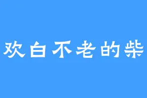 喜欢白不老的柴桑