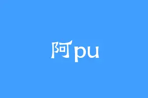 阿pu