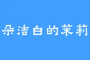 一朵洁白的茉莉花