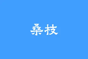桑枝