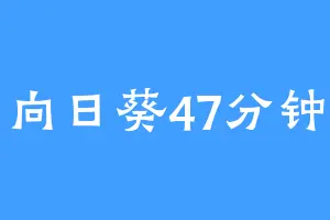 向日葵47分钟