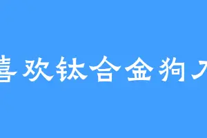喜欢钛合金狗刀