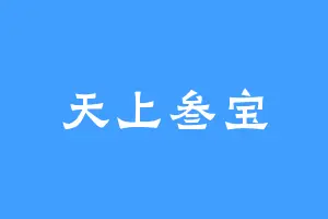 天上叁宝