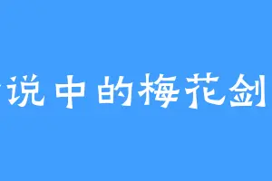 传说中的梅花剑客