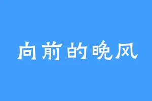 向前的晚风