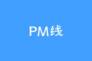 PM线