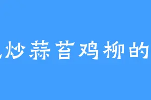 爱吃炒蒜苔鸡柳的朱副