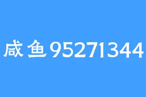 咸鱼95271344
