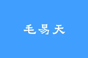 毛易天