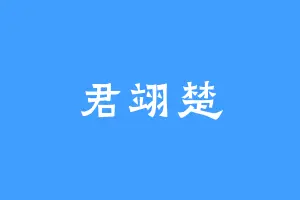君翊楚