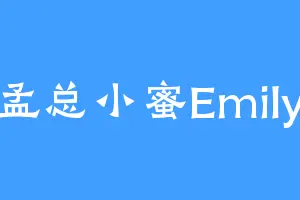 孟总小蜜Emily