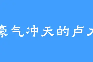 豪气冲天的卢力