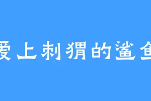 爱上刺猬的鲨鱼