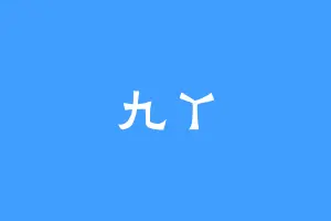 九丫
