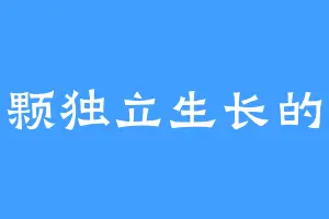 一颗独立生长的树