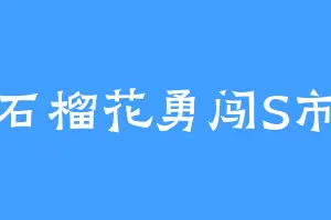 石榴花勇闯S市