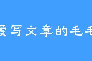 爱写文章的毛毛