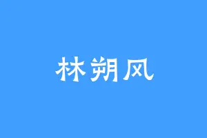 林朔风