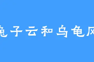 兔子云和乌龟风