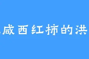 爱吃咸西红柿的洪九院