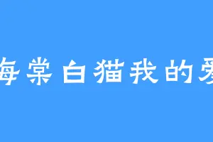海棠白猫我的爱