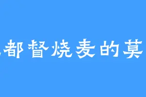爱吃都督烧麦的莫卧儿