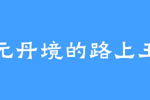 元丹境的路上王